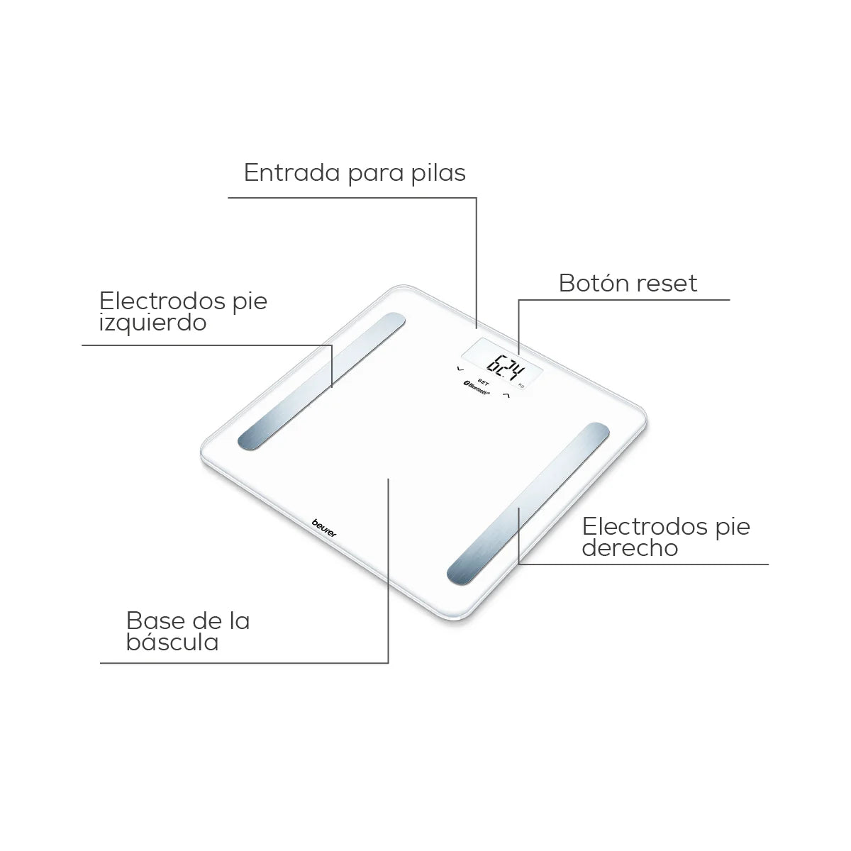 Báscula Bluetooth con Memoria Hasta para 8 Usuarios, Análisis Corporal de Cuerpo Completo, Mide IMC, Grasa, Agua, Masa Muscular, Masa Ósea e Indicación de Calorías BMR / Marca Beurer