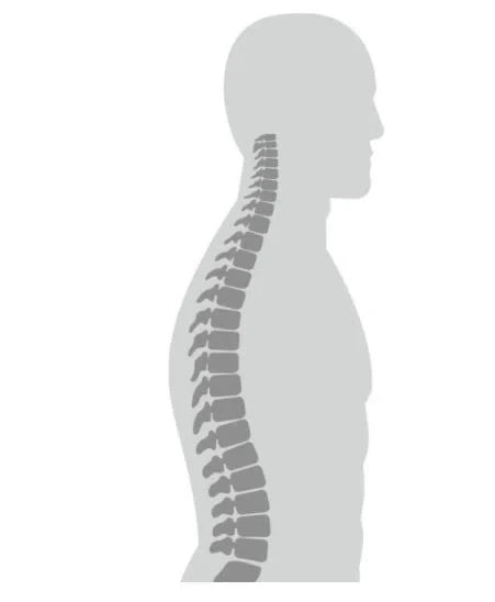 Entrenador de Postura PC100 Posture Control / PC100 Marca Beurer