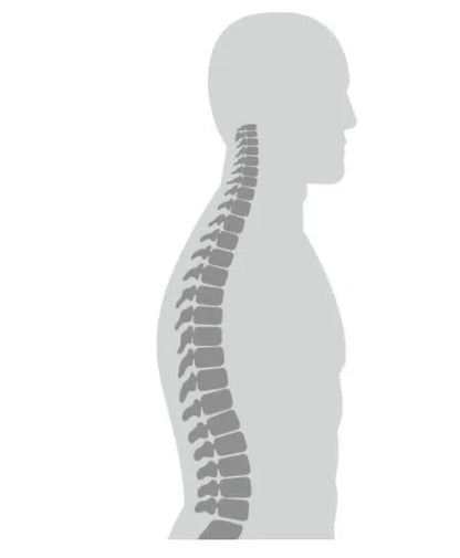 Entrenador de Postura PC100 Posture Control / PC100 Marca Beurer