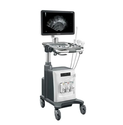 Equipo de ultrasonido DC30 Full HD - Marca Mindray Con transductor convexo y endocavitario DC30FHDCE
