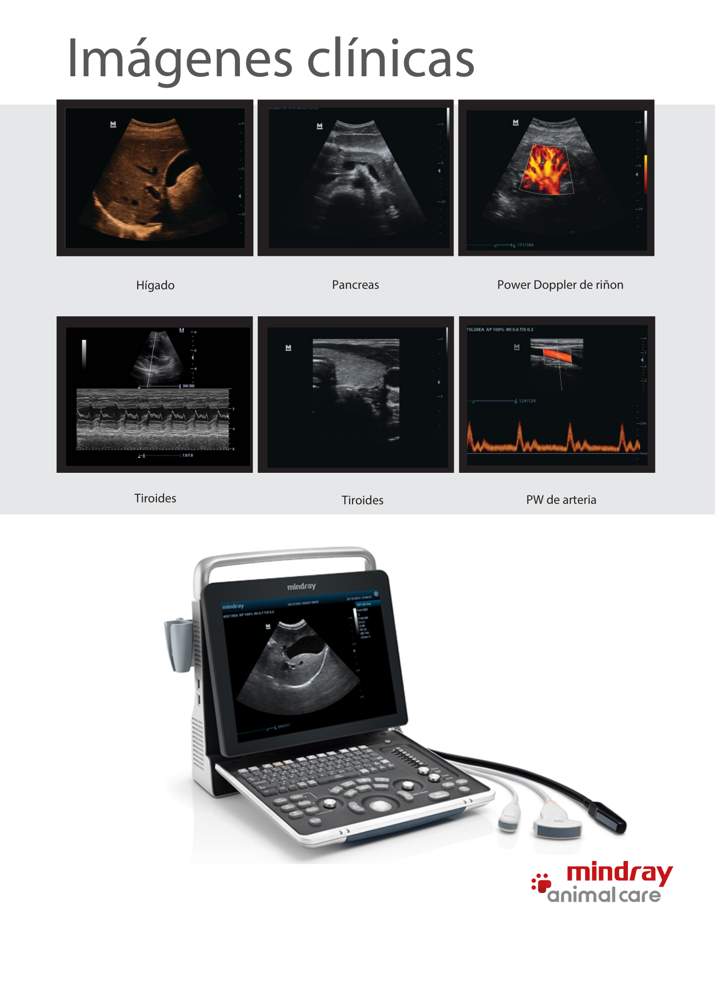 Sistema de Ultrasonido Portátil DP50 VET - Marca Mindray Animal Care (DP50VM)