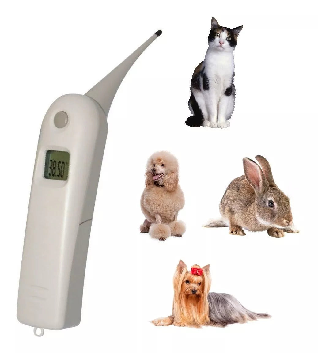 Toma de temperatura para uso Veterinario: Precisión y Comodidad para Tus Animales