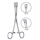 Pinza Forester porta esponjas | Marca Hergom