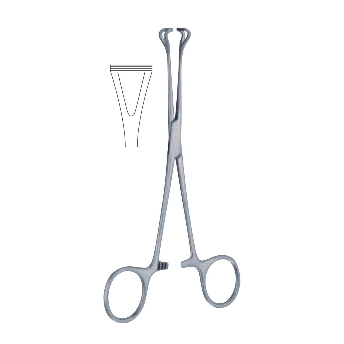 Pinza Babcock | Marca Hergom Medical