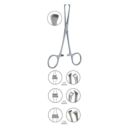 Pinza Allis | Marca Hergom Medical