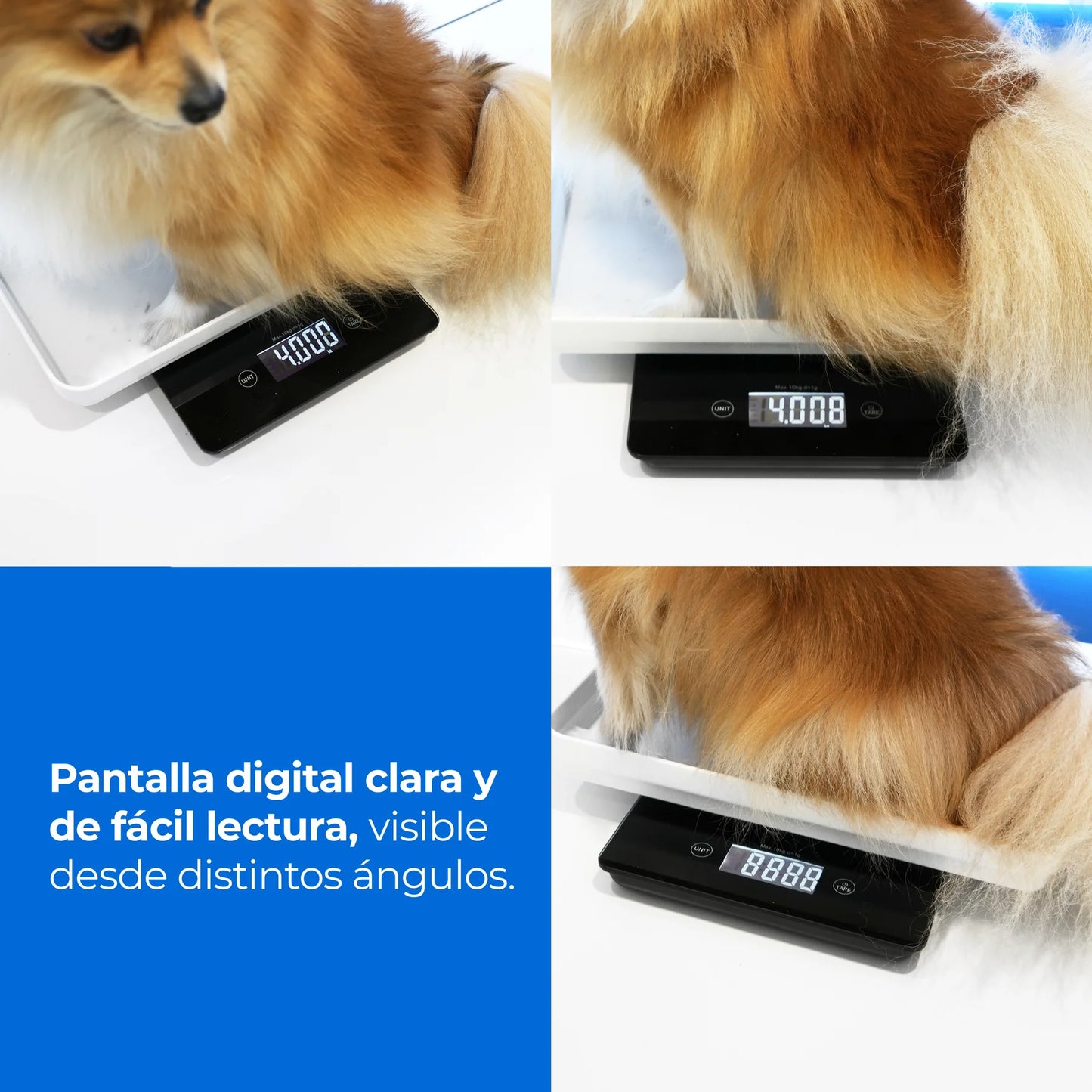 Báscula veterinaria digital inalambrica para perros o gatos de 10 kg con función Tara | Alta precisión K43PRO | Marca Hergom Vet