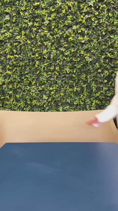 Estuche de Disección 20 Piezas + 5 Piezas de Regalo Hergom Silvery