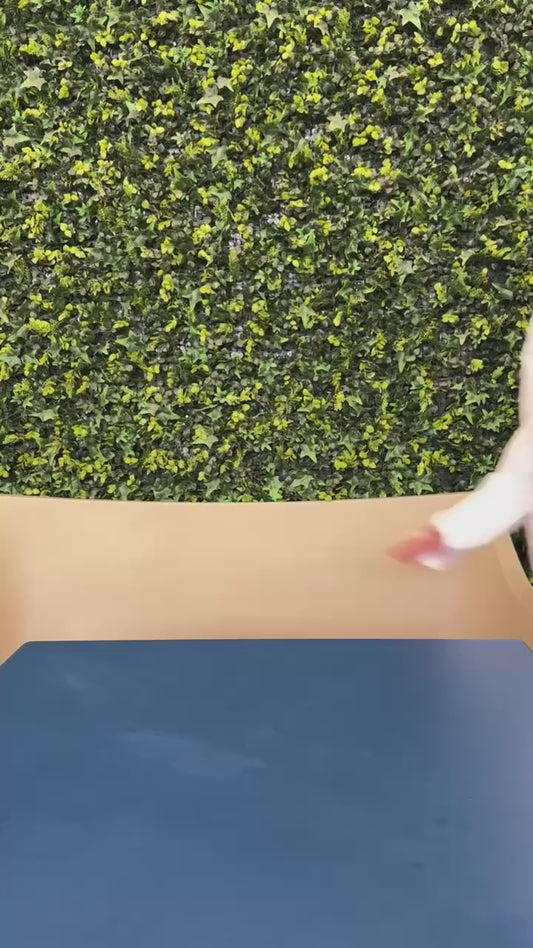 Estuche de Disección 20 Piezas + 5 Piezas de Regalo Hergom Silvery